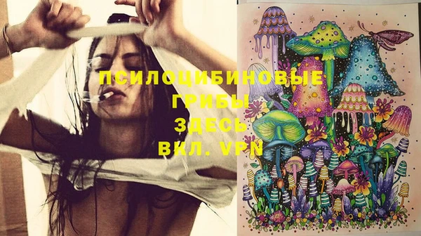 стафф Верея