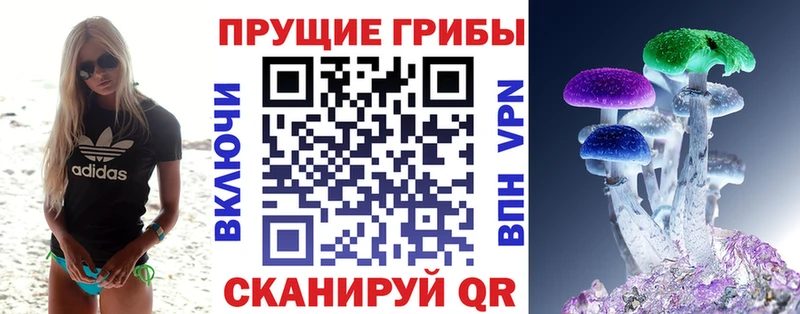 как найти закладки  Севастополь  Псилоцибиновые грибы мицелий 